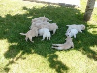 /album/fotos-recentes-/fotos-076-jpg/